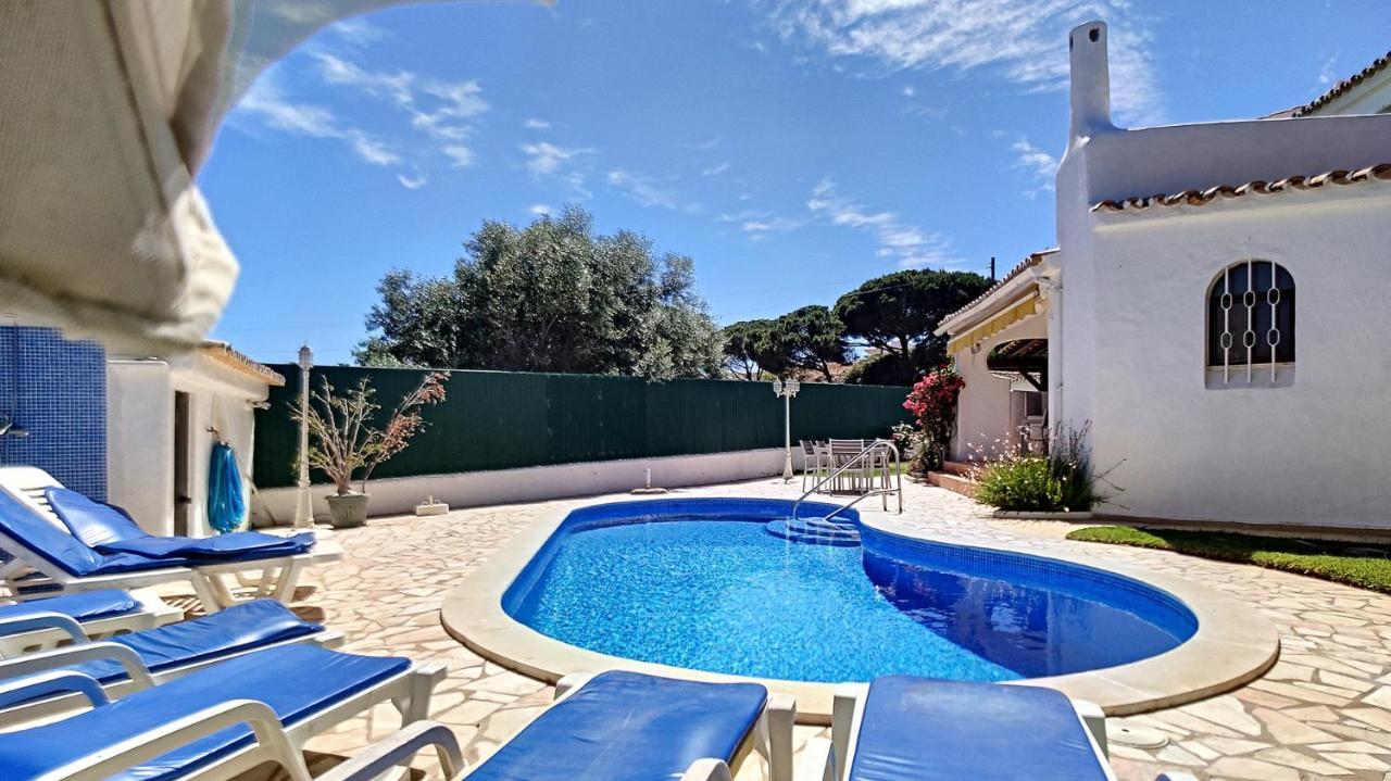 Villa Palmeira Gale *